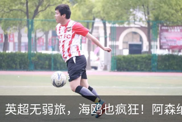 英超无弱旅，海鸥也疯狂！阿森纳3球惨败，拉亚成了远射背景板